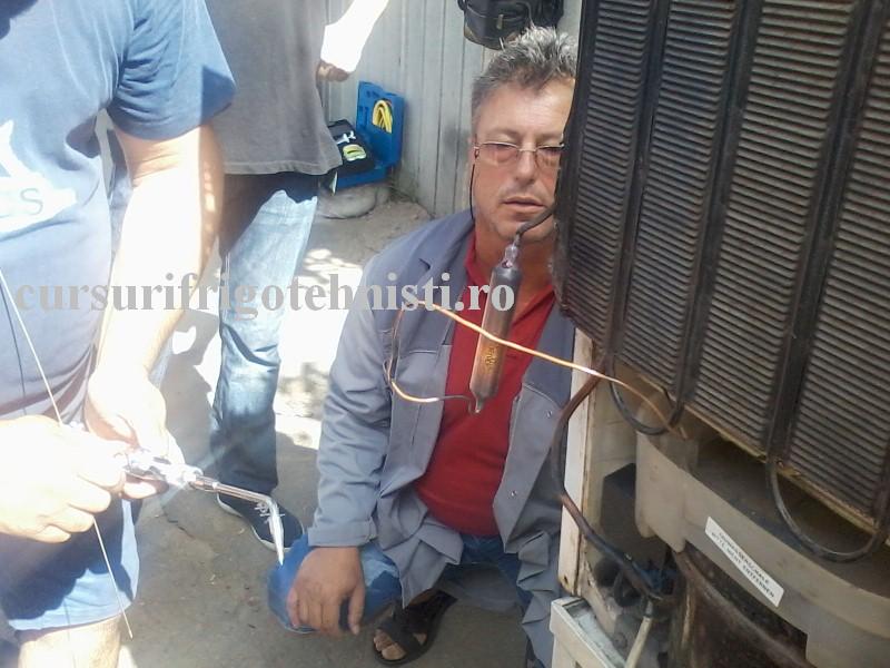 P13-07-16_10.34 (Custom).jpg