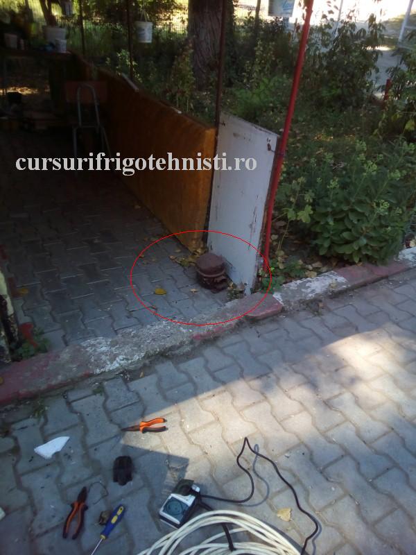 2ilep0z (Custom).jpg