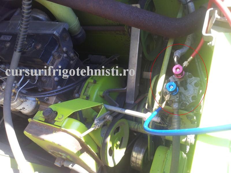 20160712_094759 (Custom).jpg