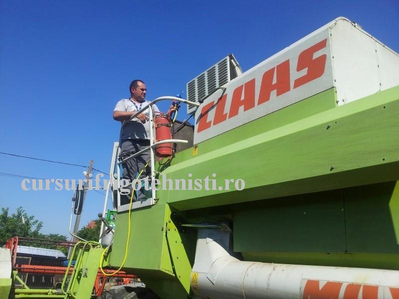 20160712_095033 (Custom).jpg