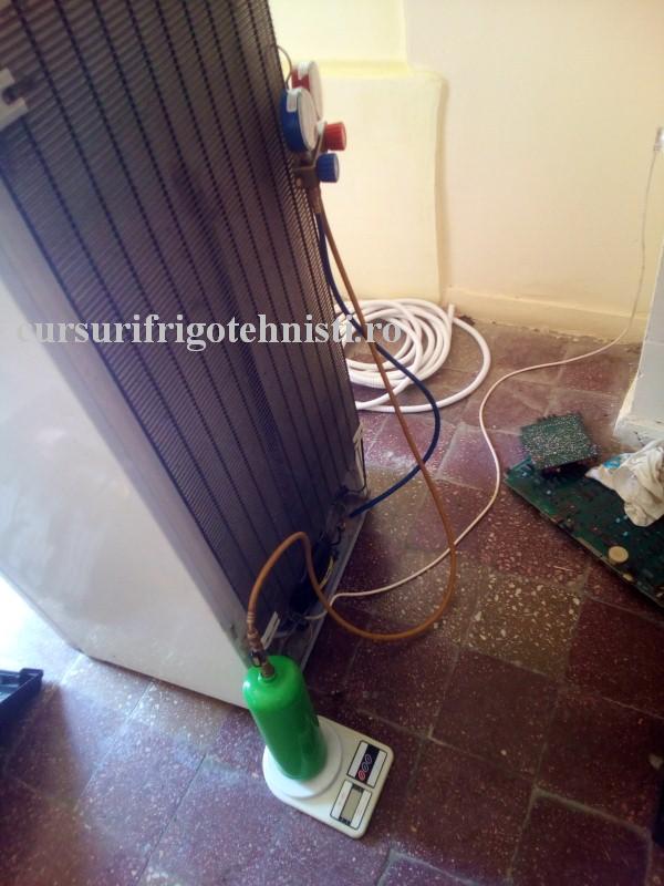 arctic 7 (Custom).jpg