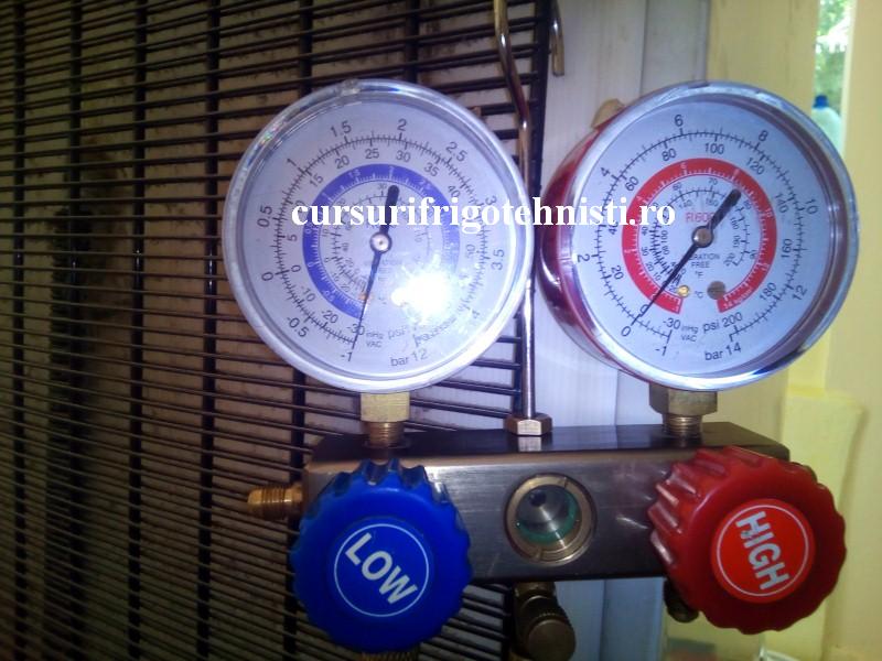 arctic 6 (Custom).jpg