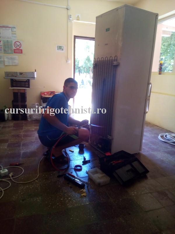 Arctic 3 (Custom).jpg