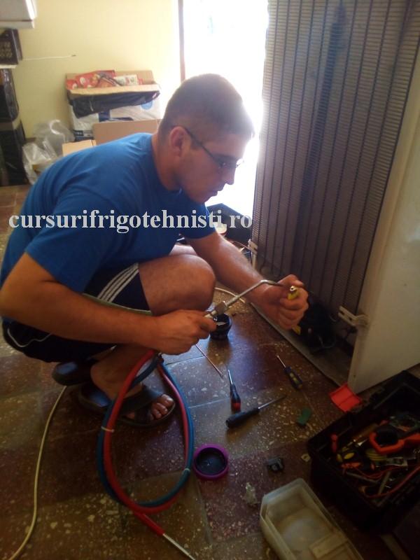 Arctic 2 (Custom).jpg