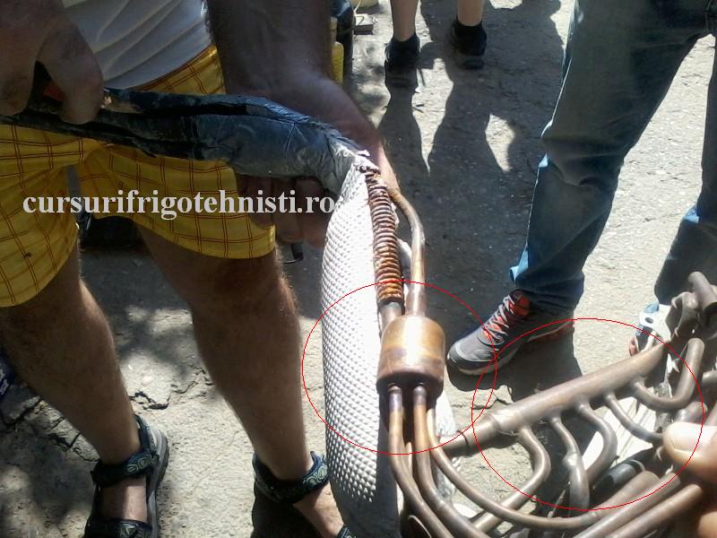 P22-07-16_10.54[01] (Custom).jpg