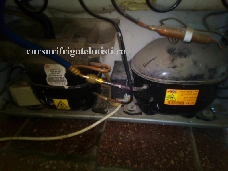 3 comp comp (Custom).jpg