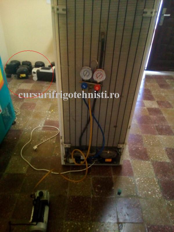 1 combina in vac (Custom).jpg