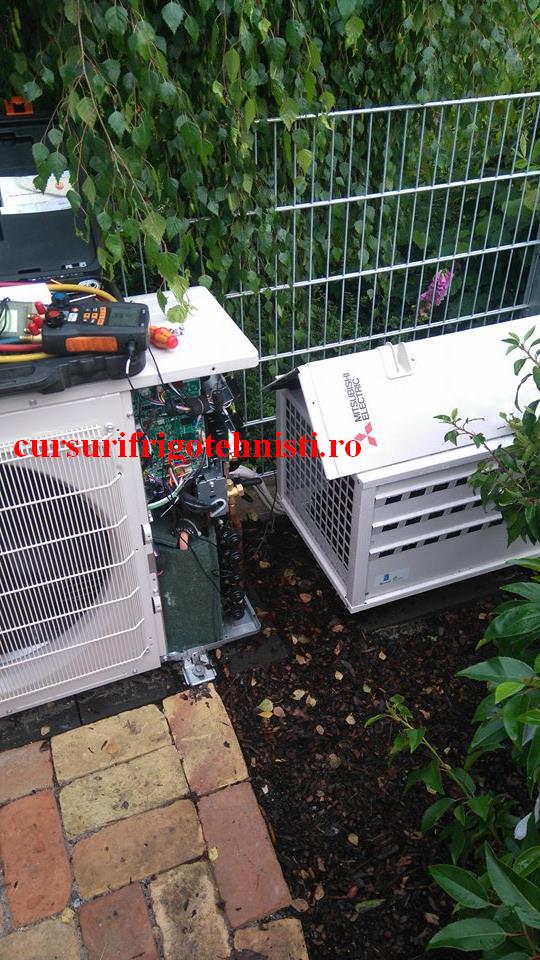 UE la o carciuma.jpg