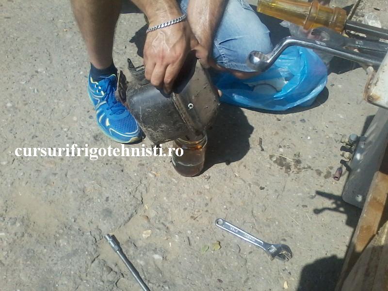 P29-07-16_11.44 (Custom).jpg