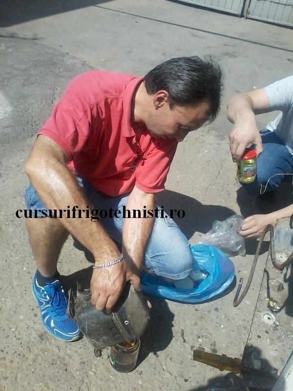 P29-07-16_11.44[01] (Custom).jpg