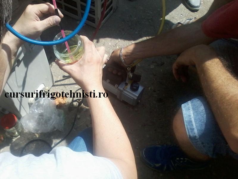 P29-07-16_12.36 (Custom).jpg