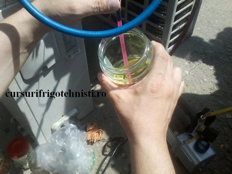 P29-07-16_12.36[01] (Custom).jpg