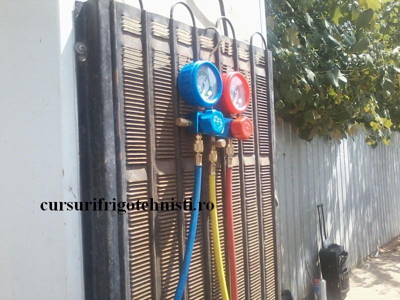 P29-07-16_12.36[03] (Custom).jpg