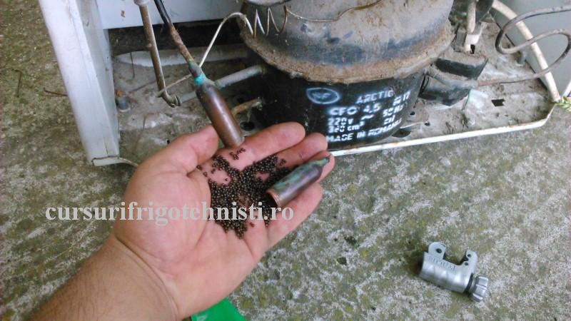 DSC_0019 (Custom).JPG