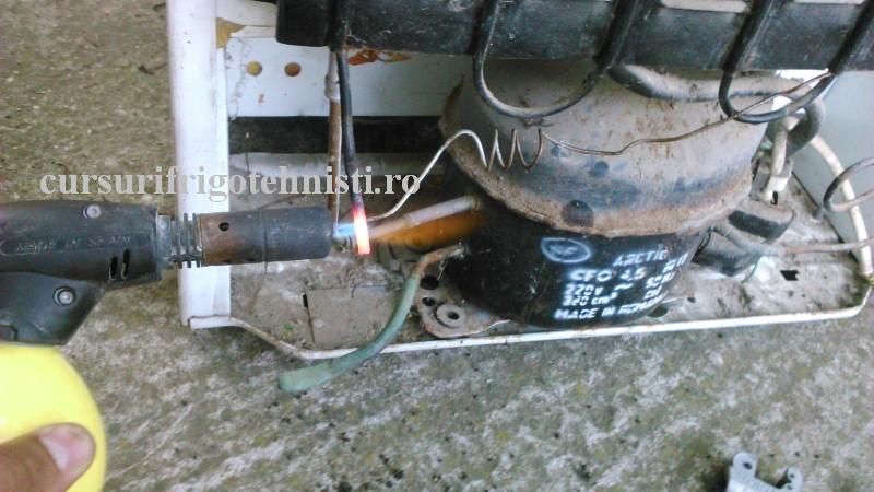 DSC_0023 (Custom).JPG