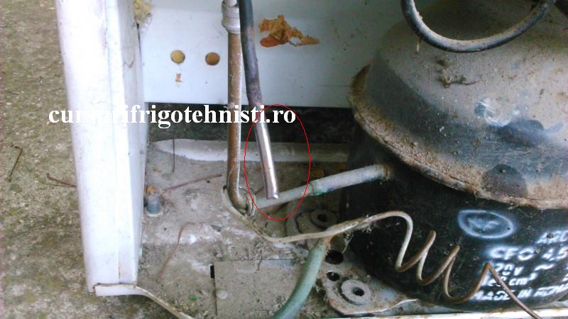 DSC_0025 (Custom).JPG