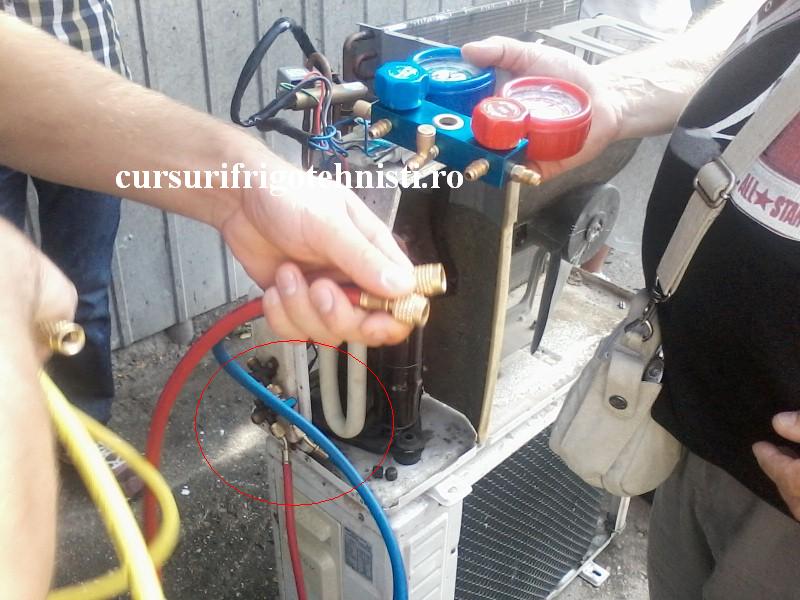 P03-08-16_10.07 (Custom).jpg