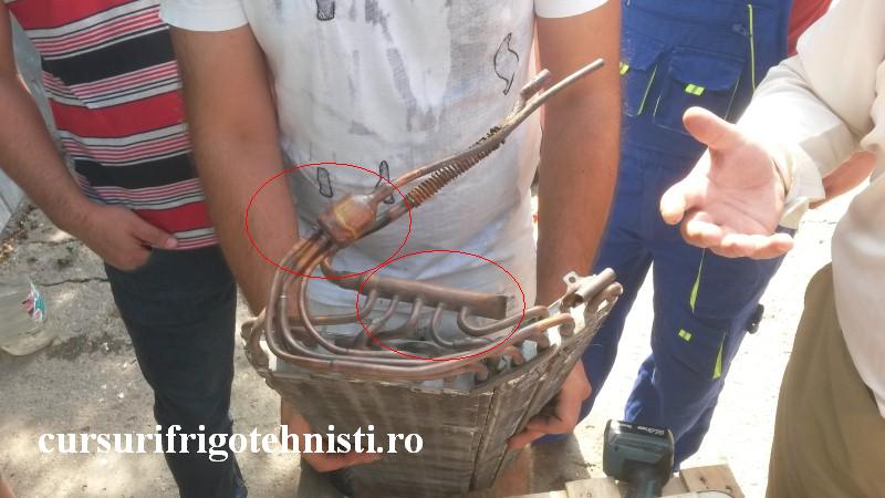 20160803_105232 (Custom).jpg