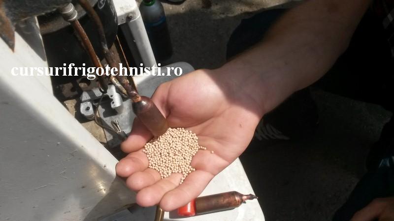 20160803_111938 (Custom).jpg