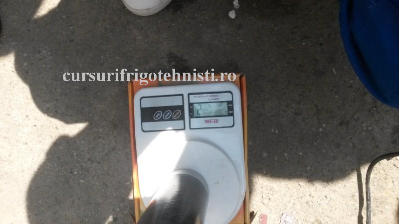 20160803_122731 (Custom).jpg