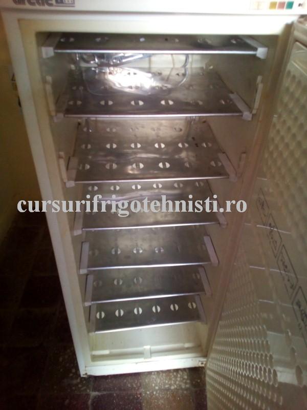 montat in cong 2 (Custom).jpg