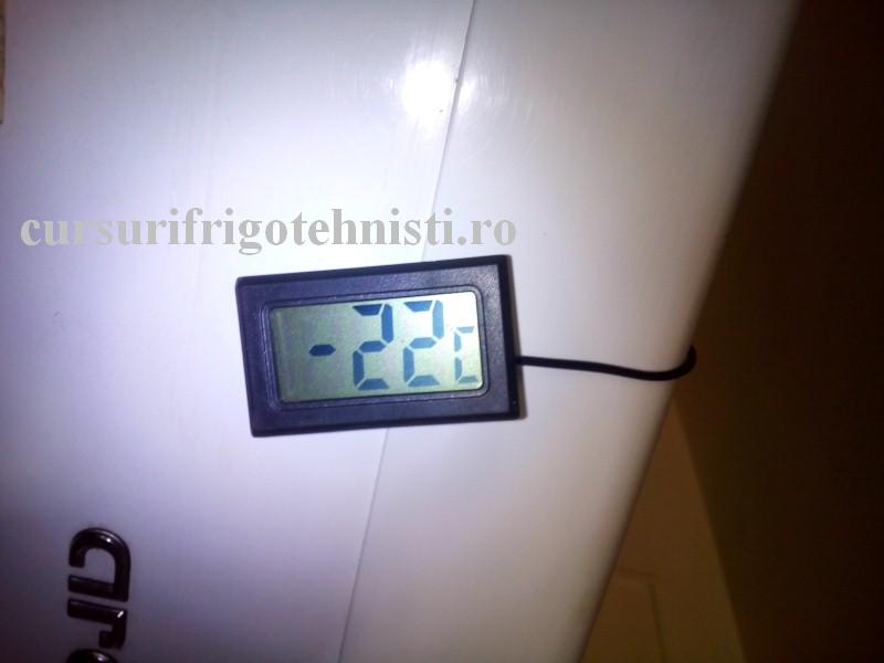 -22 congelare.. (Custom).JPG