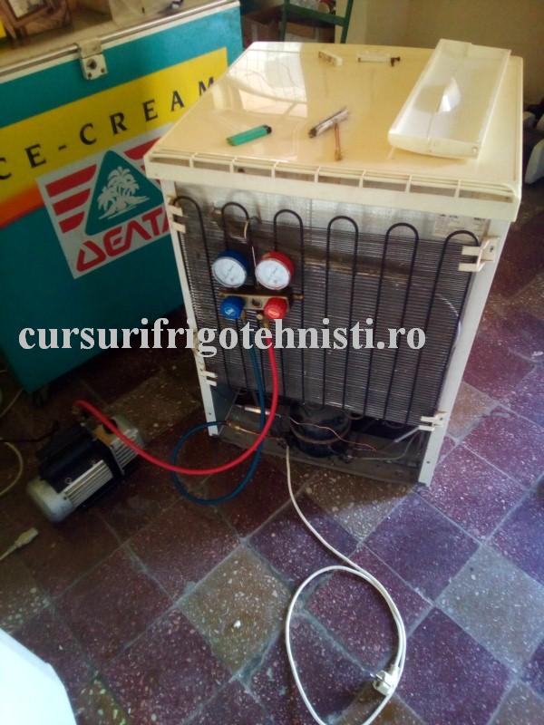 2 pus la vidat (Custom).jpg