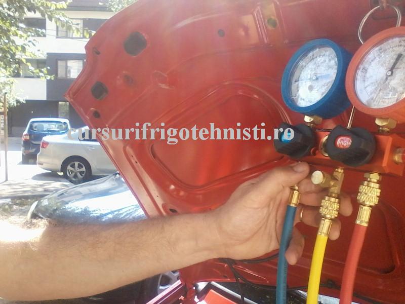 P21-08-16_11.20 (Custom).jpg