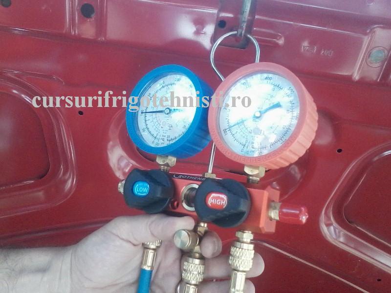 P21-08-16_11.21 (Custom).jpg