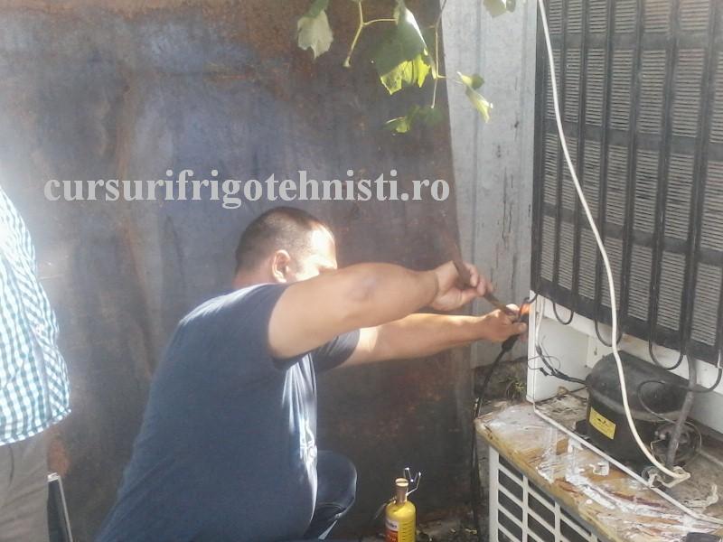 P25-08-16_10.11 (Custom).jpg