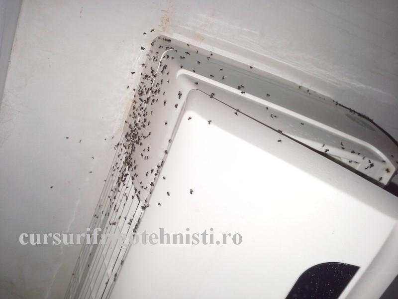 20160825_140611 (Custom).jpg