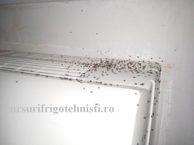 20160825_140602 (Custom).jpg