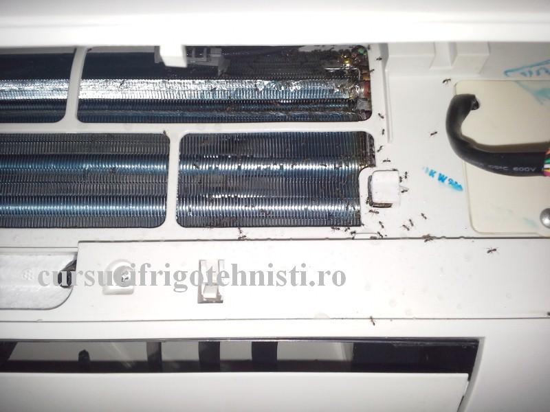 20160825_135432 (Custom).jpg