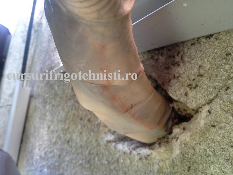 20160825_135256 (Custom).jpg