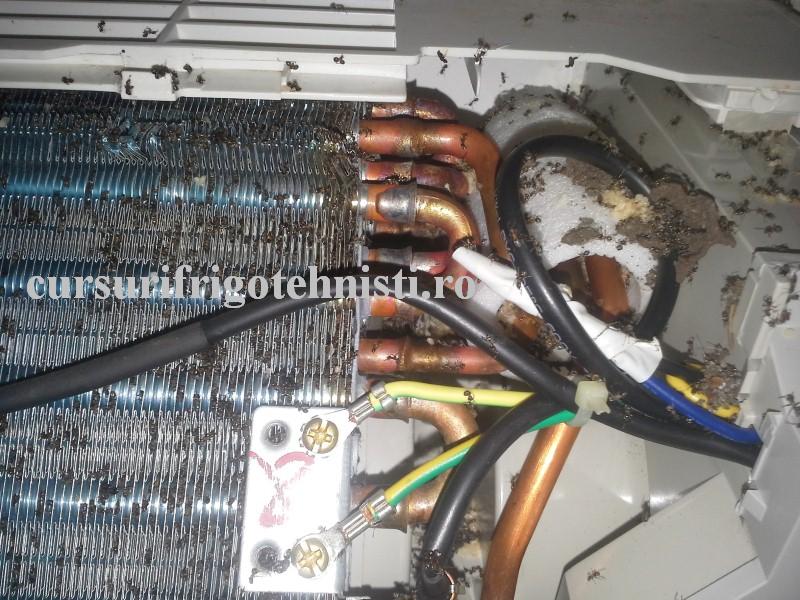 20160825_143959 (Custom).jpg