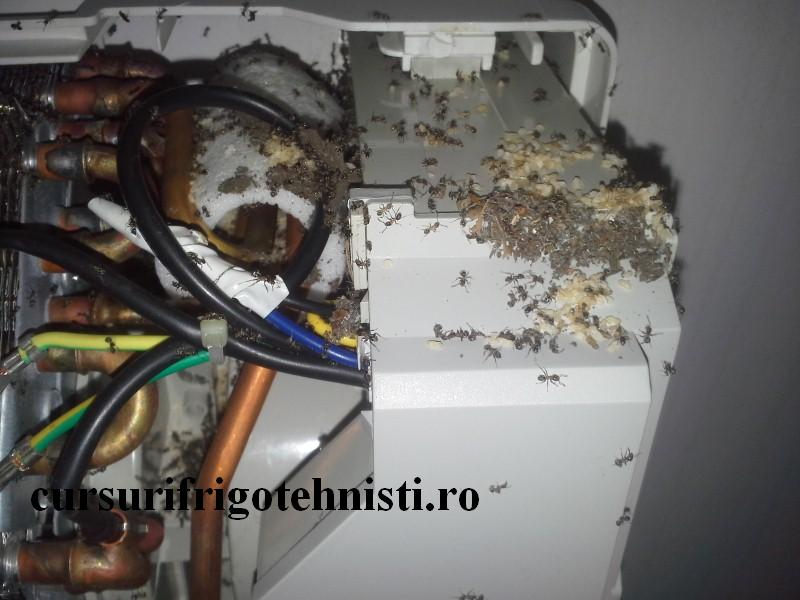 20160825_143955 (Custom).jpg