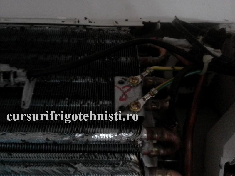 20160825_143949 (Custom).jpg