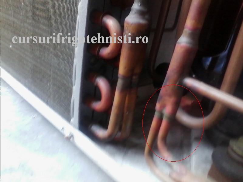 IMG_20160828_103828 (Custom).jpg