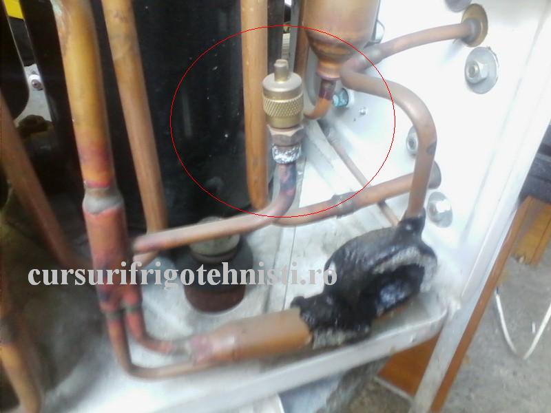 IMG_20160828_103751 (Custom).jpg