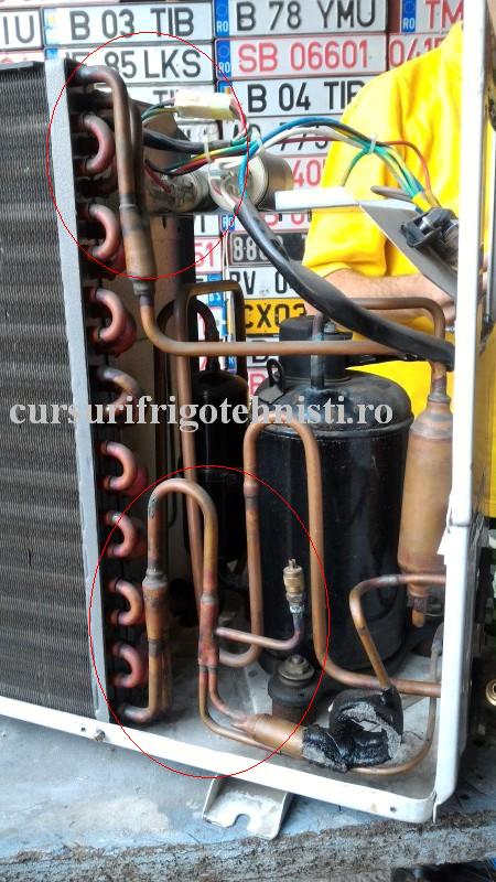 P_20160828_104926 (Custom).jpg