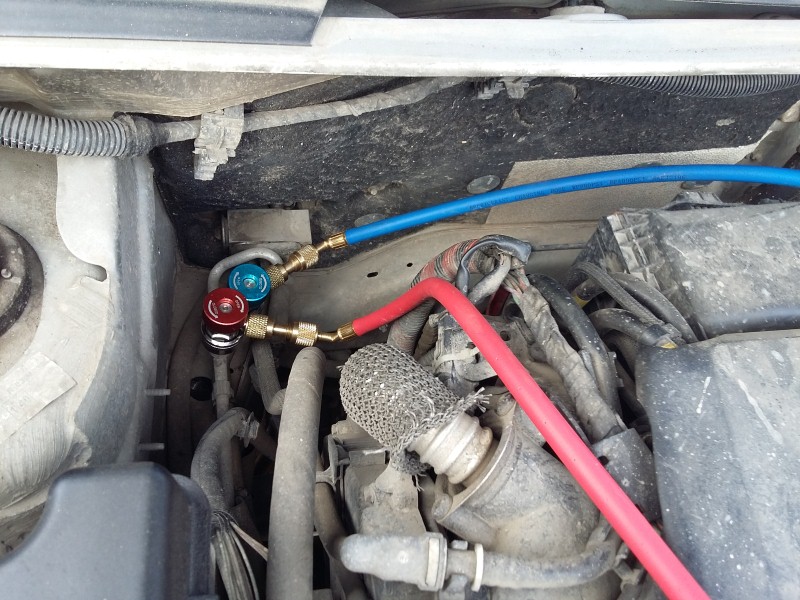 20160827_170904 (Custom).jpg