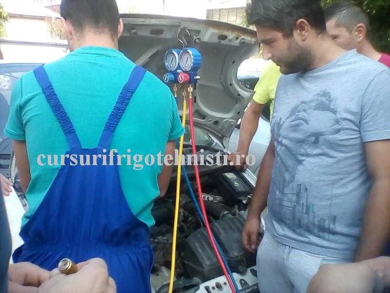 IMG_20160901_101733 (Custom).jpg