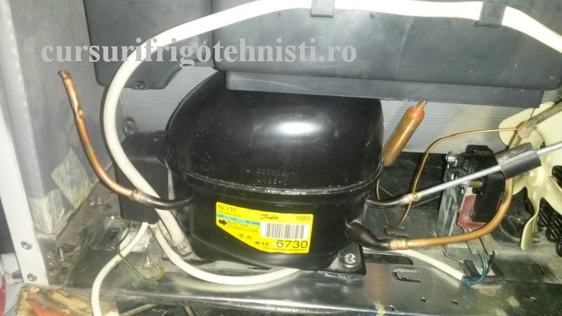 20160831_200821 (Custom).jpg