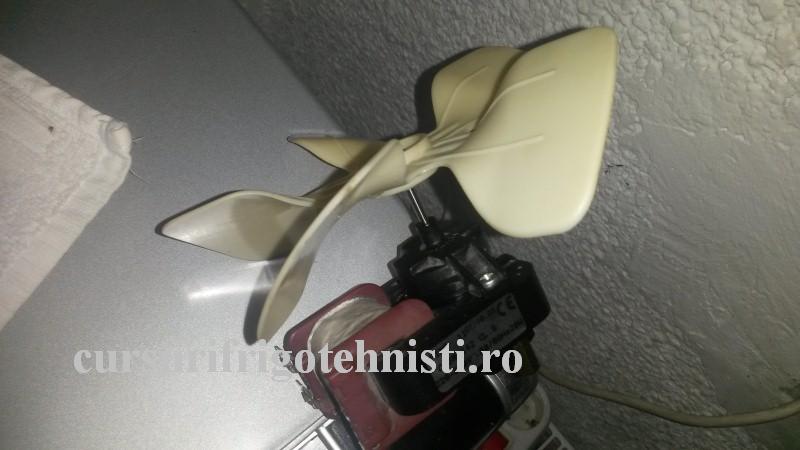 20160831_194209 (Custom).jpg