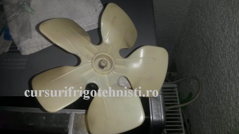 20160831_194136 (Custom).jpg