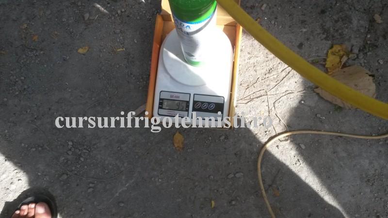 20160908_113256 (Custom).jpg