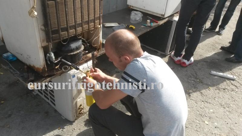 20160908_104218 (Custom).jpg