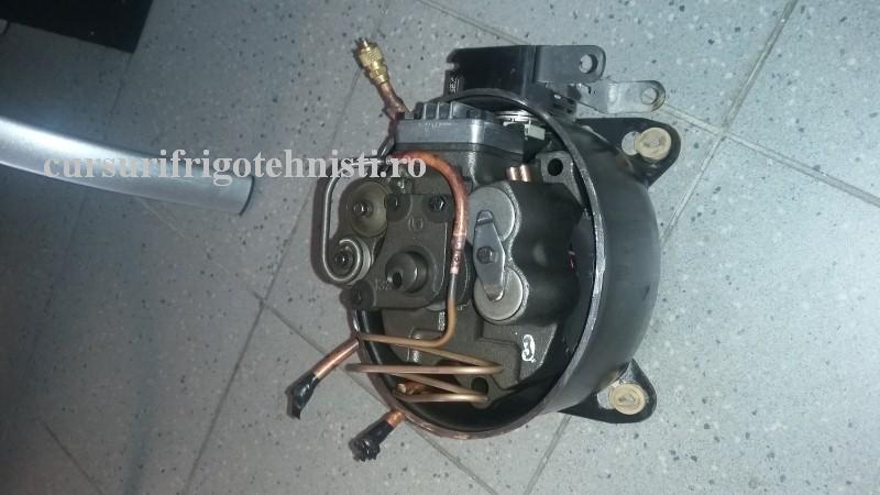 20160915_164848 (Custom).jpg