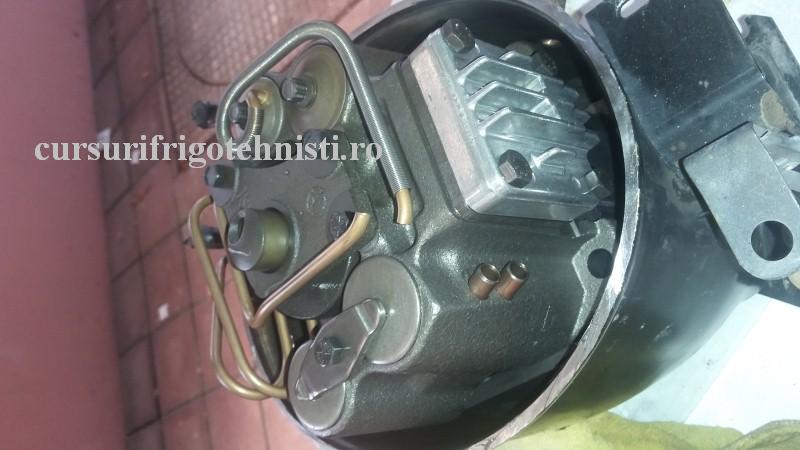 20160915_135647 (Custom).jpg