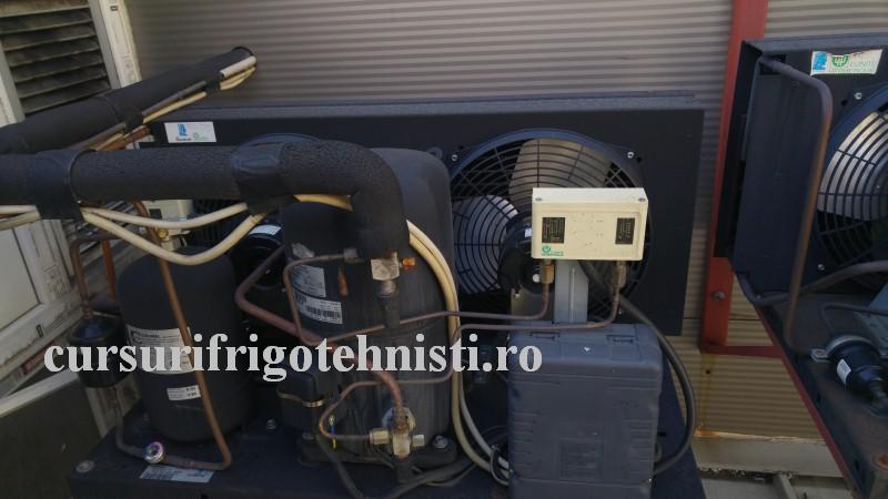 Prima zi de munca la Coinsfri 1 (Custom).jpg